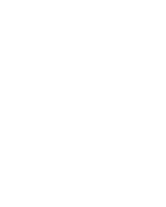 logo syndicat LCA-FFB